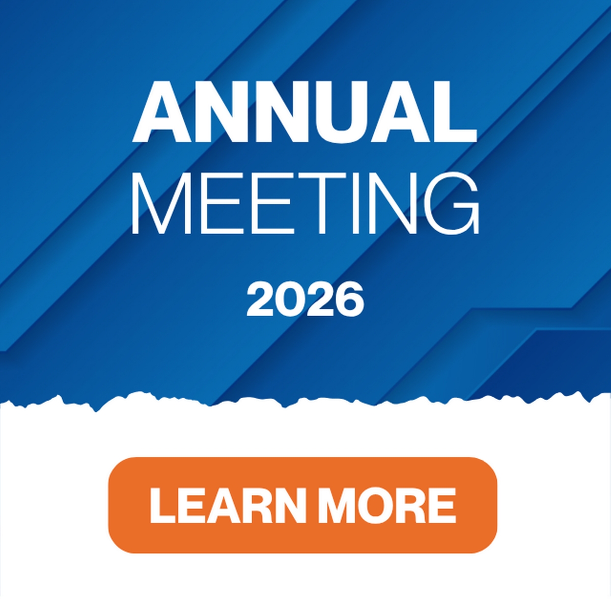 2026 Annual Meeting
